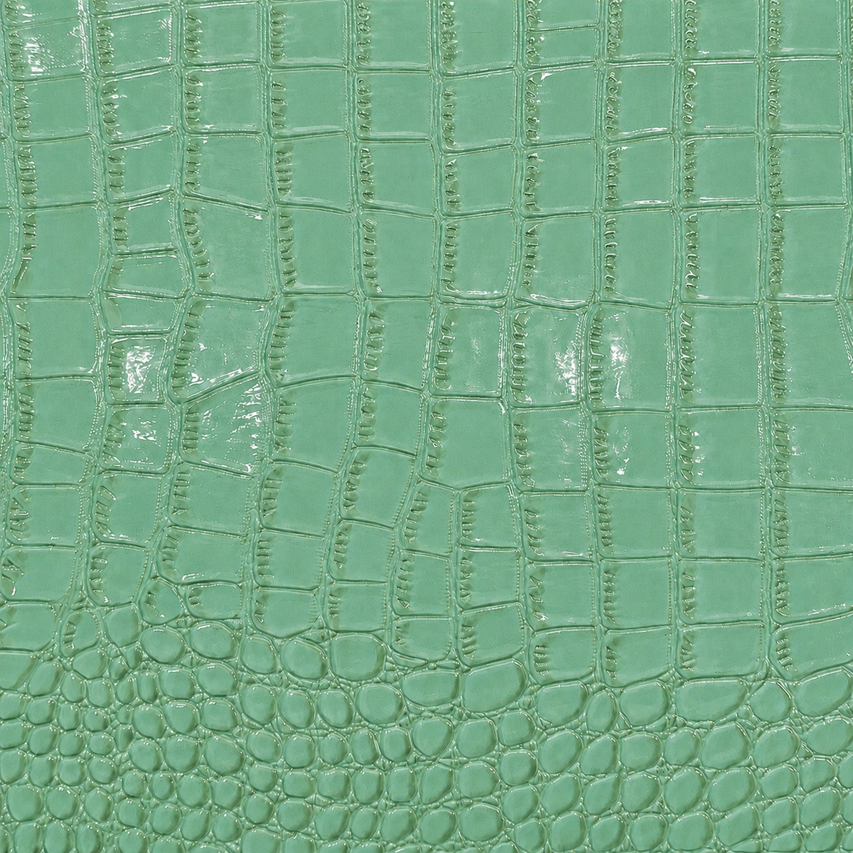 Mint MacBook Case