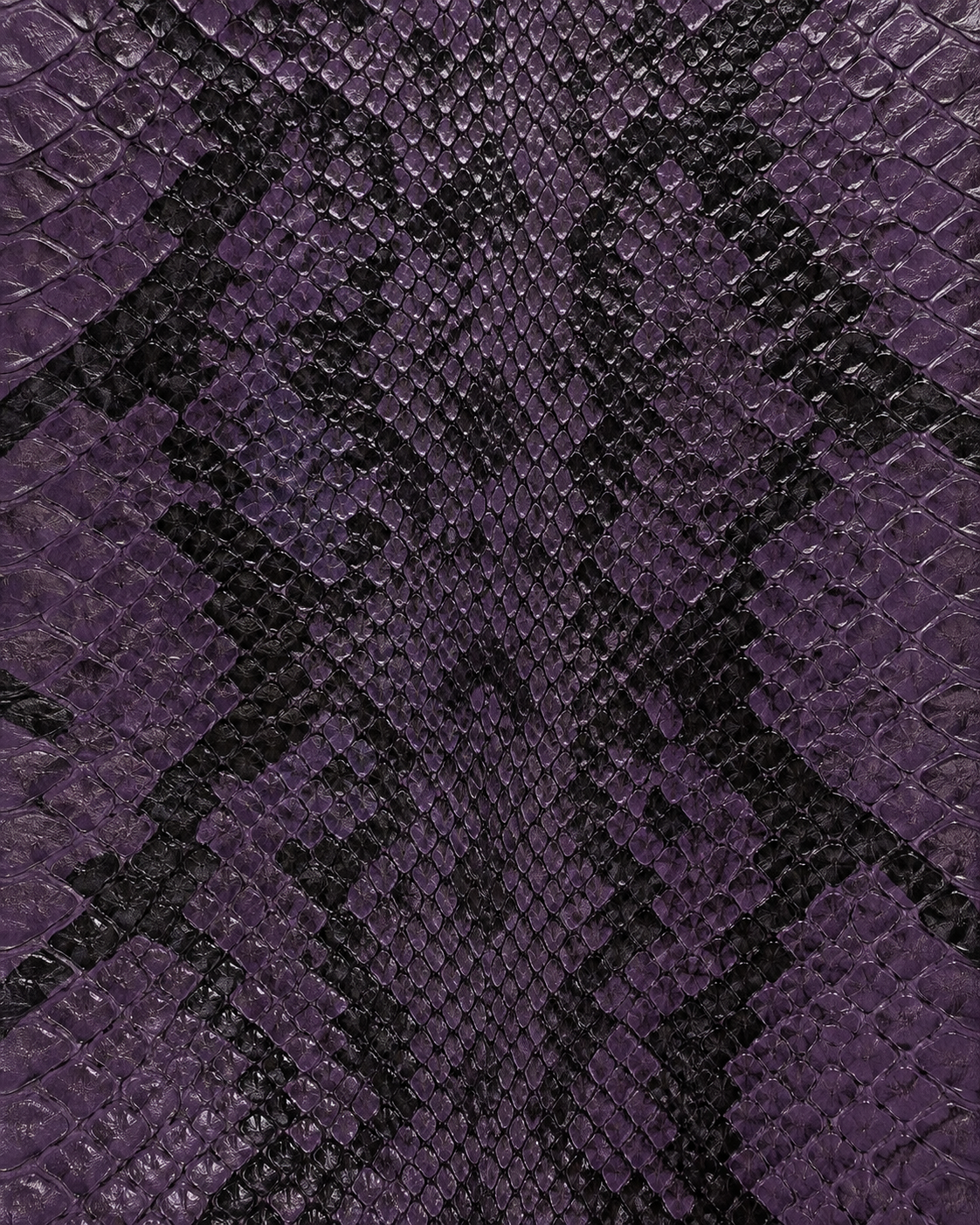 Violet Python