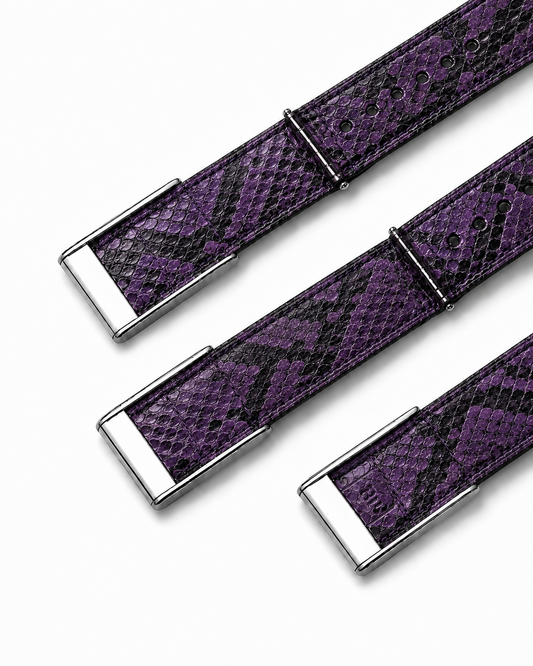 Violet Python