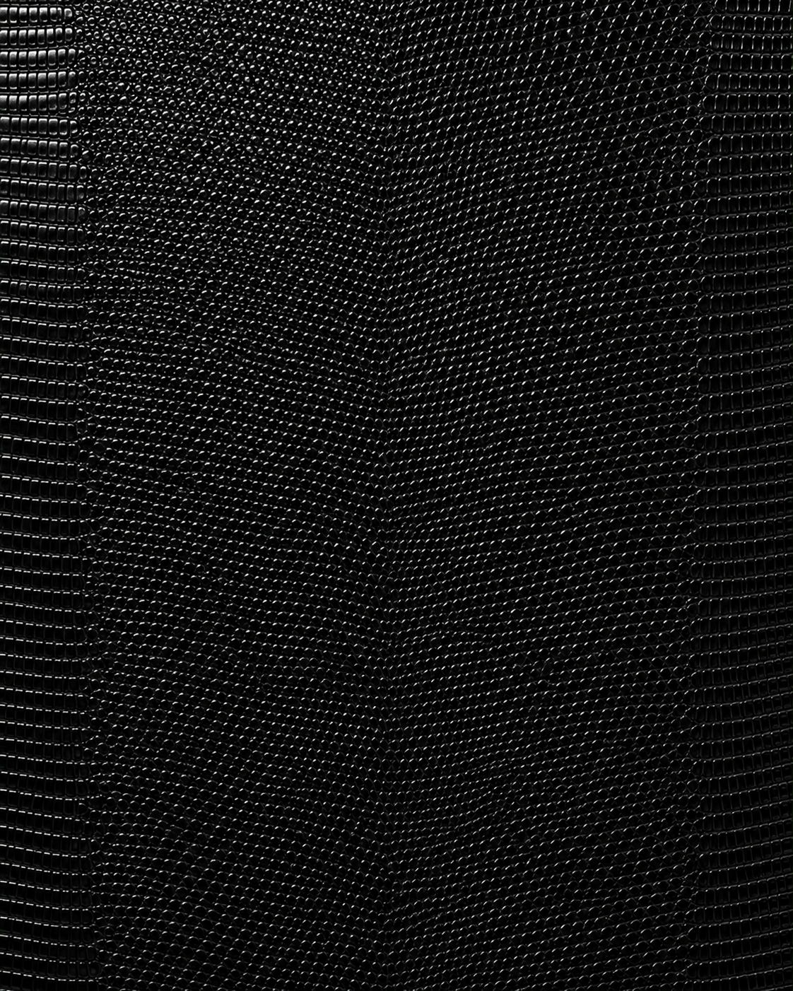 Jet Black Lizard
