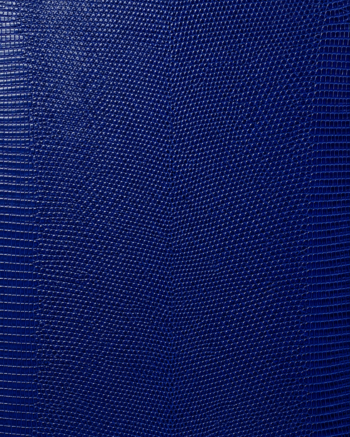 Royal Blue Lizard