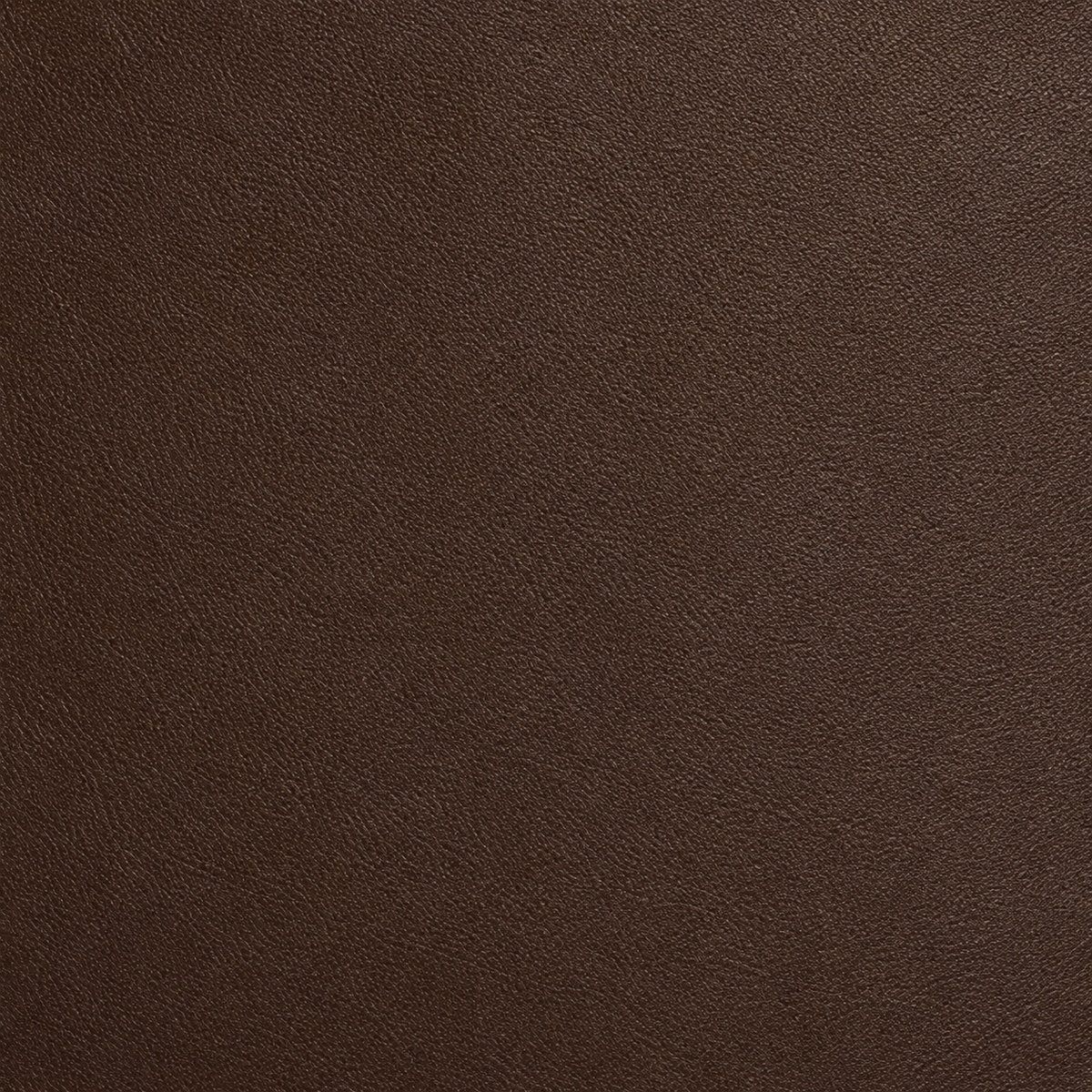 Chocolate A5 Journal
