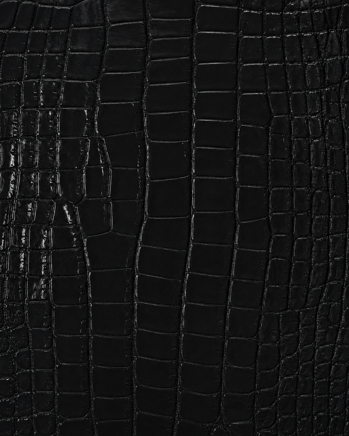 Black Embossed Crocodile