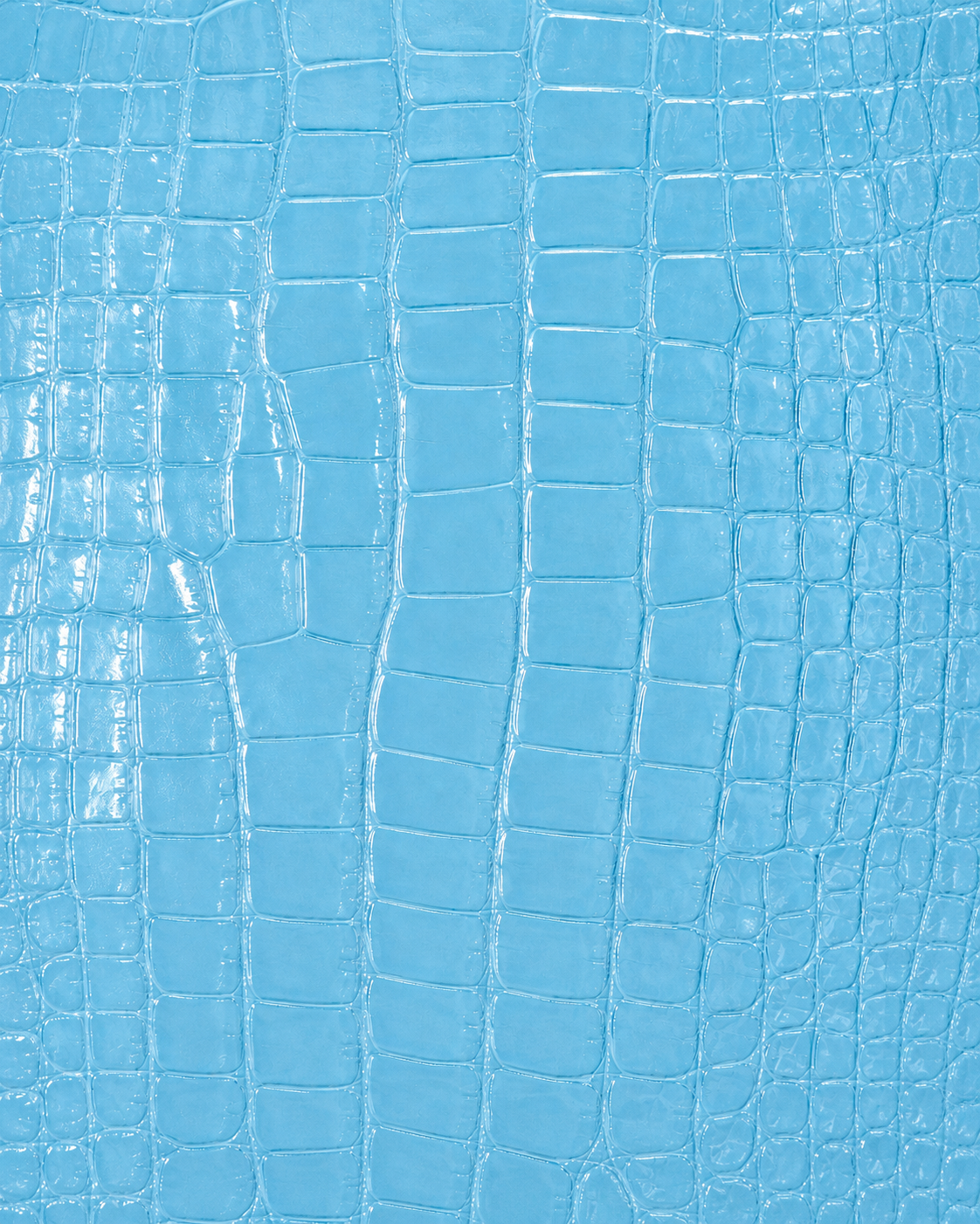 Sky Embossed Crocodile