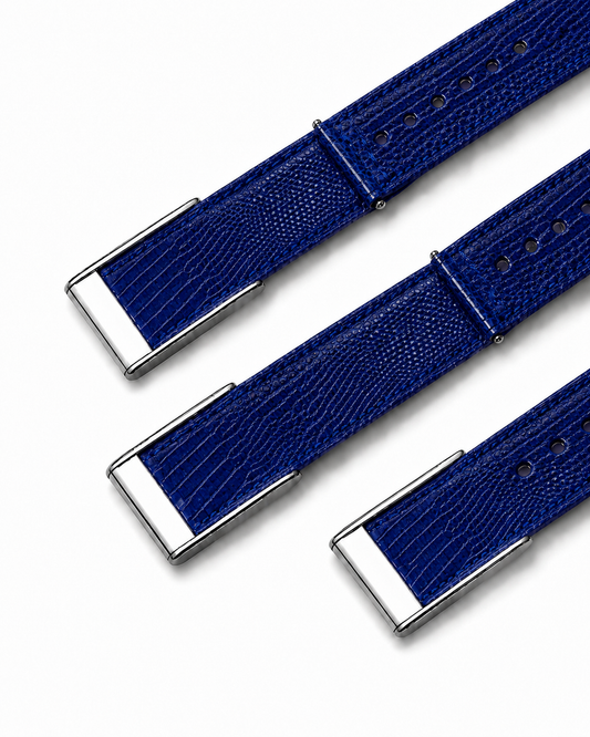 Royal Blue Lizard